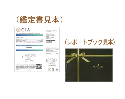 鑑定書＆レポートブック