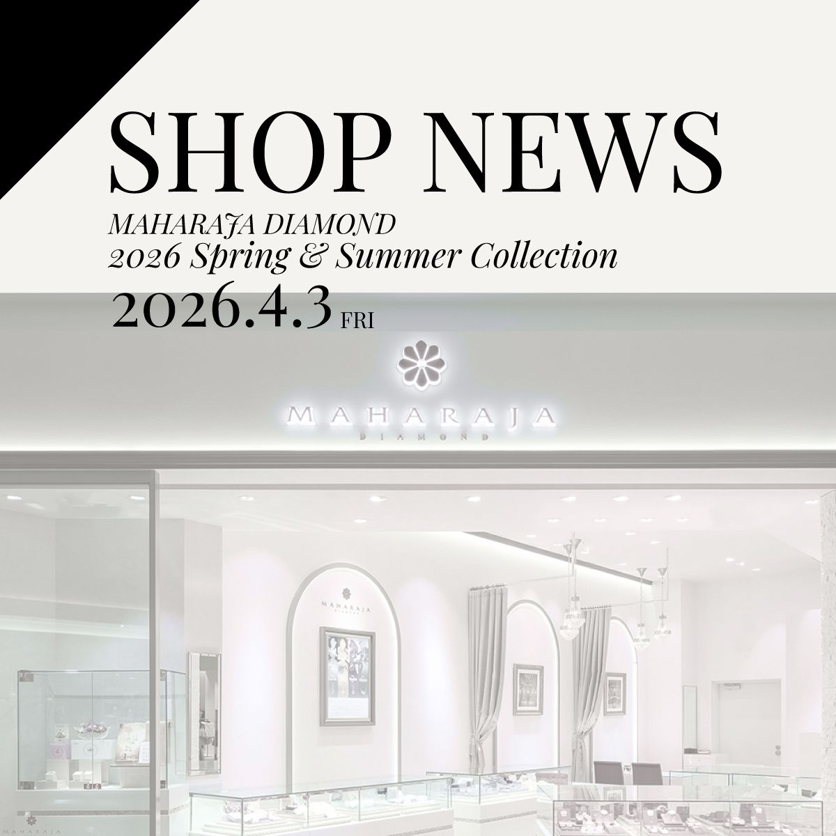 2026.4.3(fri) よりMAHARAJA DIAMOND 2026 Spring & Summer Collection 発売