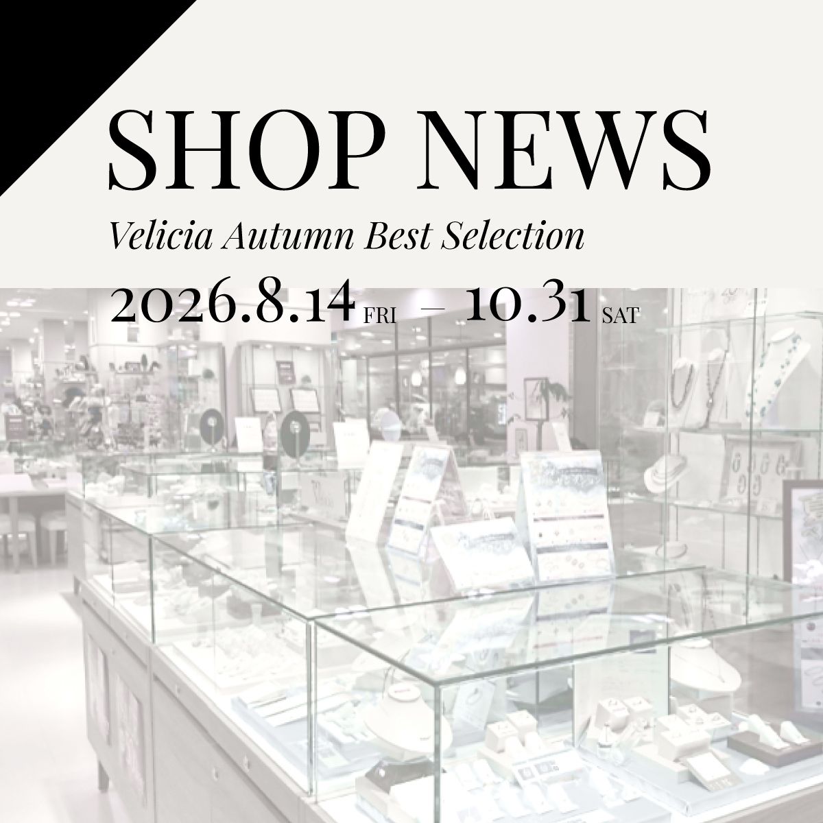2026.8.14(fri) よりVelicia 秋のベストセレクション 発売