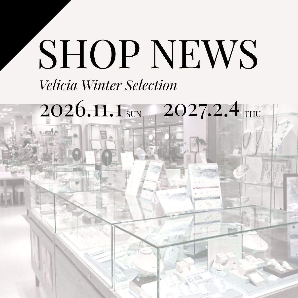 2026.11.1(sun) よりVelicia WINTER SELECTION 発売
