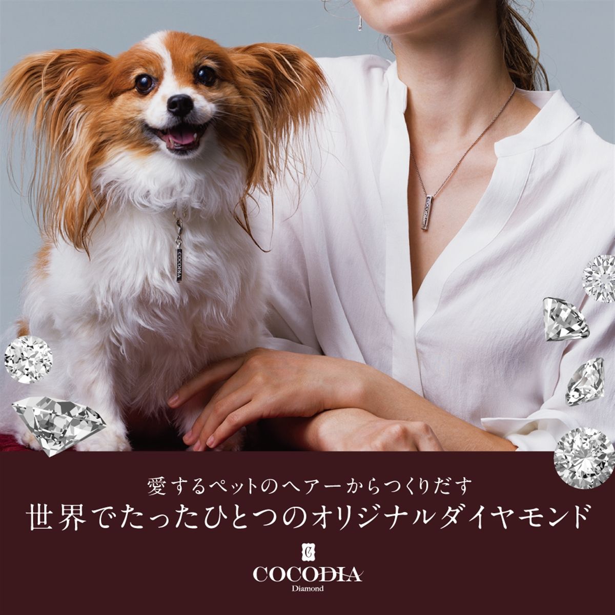 COCODIA DIAMOND｜愛するペットのヘアーからつくりだす、世界でたった一つのダイヤモンド